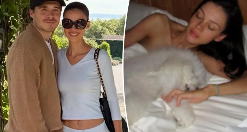 Brooklyn Beckham shares racy snap of wife Nicola Peltz in bed as family feud rages on