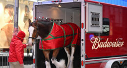 Budweiser Goes Full Patriot in 2026 Super Bowl Ad