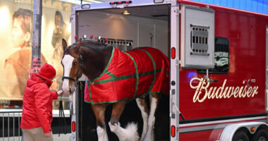 Budweiser Goes Full Patriot in 2026 Super Bowl Ad