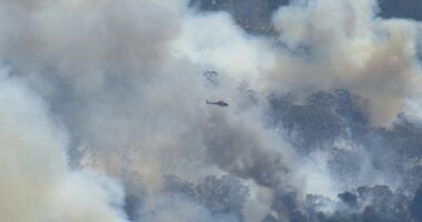 A﻿n emergency bushfire warning has been issued for a blaze burning in south-west Victoria..