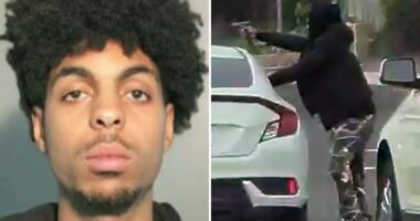 California carjacker Mohamed Husein steals Corvettes before deadly San Jose shootout