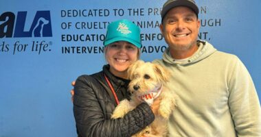 California police officer adopts puppy he helped save from trash compactor