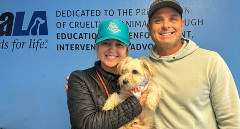 California police officer adopts puppy he helped save from trash compactor