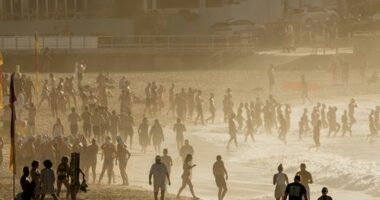 SYDNEY, AUSTRALIA - NOVEMBER 27: A packed Bondi Beach at sunrise on November 27, 2024 in Sydney, Australia. Some Australians experienced temperatures of 40 degrees plus last weekend.