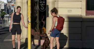 Morning foot traffic in Collingwood on an extreme hot day. 7 January 2026. Photo: Eddie Jim.