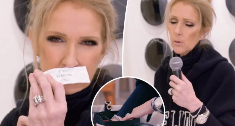 Celine Dion reveals must-have purse essentials — including a microphone to sing on cue