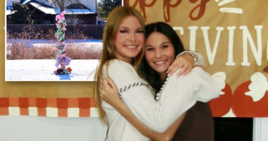 Collage of a memorial tree in the snow and two young women hugging.