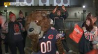 Chicago Bears mascot Staley and Monster Squad holding Pop-Up City Tour ahead of playoff game against Green Bay Packers