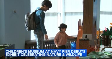 Chicago Children's Museum at Navy Pier opens 'I AM WILD: A Charley Harper Exhibit' based off a beloved artist focused on nature