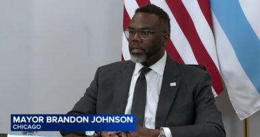 Chicago Council committee hears testimony from activists, officials from city, Minnesota after Alex Pretti shooting, on ICE