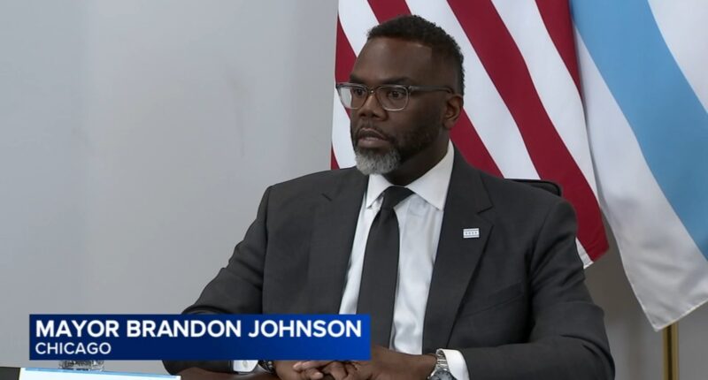 Chicago Council committee hears testimony from activists, officials from city, Minnesota after Alex Pretti shooting, on ICE