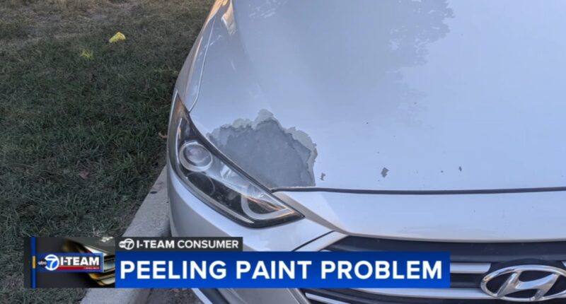 Chicago-area car owner unable to get extended warranty from Hyundai for peeling paint problem