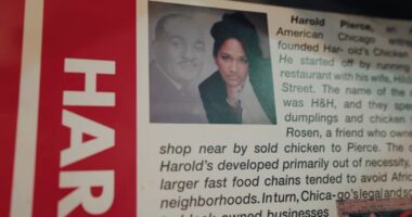 Chicago business news: Harold's Chicken Shack CEO Kristen Pierce-Sherrod, founder's daughter, dies at 55, family says
