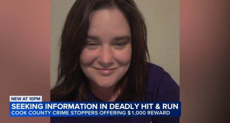 Chicago crime: Samantha Bragg dies after hit-and-run on West Side, daughter speaks out, Cook Co. Crimestoppers offers $1K reward