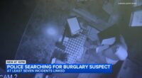Chicago crime: Surveillance video shows 1 of 7 burglaries near CTA Red Line stops in Edgewater, Uptown and West Rogers Park
