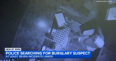 Chicago crime: Surveillance video shows 1 of 7 burglaries near CTA Red Line stops in Edgewater, Uptown and West Rogers Park