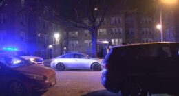 Chicago man Pierre Davis charged after allegedly shooting woman, at CPD on South Ingleside Avenue in Grand Crossing