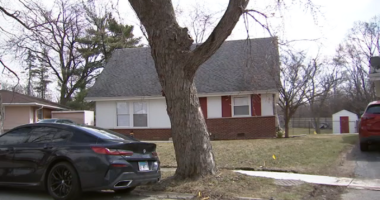 Chicago squatting: Lashawn Rankine, accused of squatting in Evergreen Park, pleads guilty to residential burglary, records show