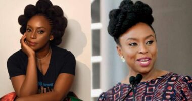 Chimamanda Adichie reportedly loses son