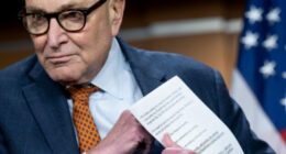 Chuck Schumer Says Democrats Will Restore Most of' DOGE Cuts