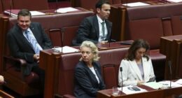 Nationals Senators Ross Cadell, Bridget McKenzie and Susan McDonald, pictured with colleague Matt Canavan, voted against the hate laws bill.