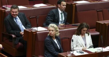 Nationals Senators Ross Cadell, Bridget McKenzie and Susan McDonald, pictured with colleague Matt Canavan, voted against the hate laws bill.