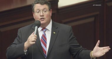 Congressman Randy Fine introduces bill to allow Greenland annexation and statehood