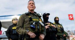 Convicted pedophiles, sex predators arrested in Minnesota immigration sweep within the last 24 hours