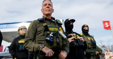 Convicted pedophiles, sex predators arrested in Minnesota immigration sweep within the last 24 hours