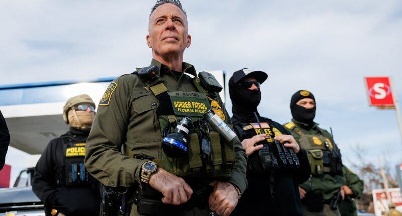 Convicted pedophiles, sex predators arrested in Minnesota immigration sweep within the last 24 hours