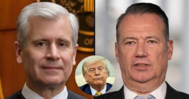 'Court's patience is at an end': Minnesota's chief federal judge demands ICE leader appear in court or face contempt after 'failure to comply' with 'dozens' of court orders