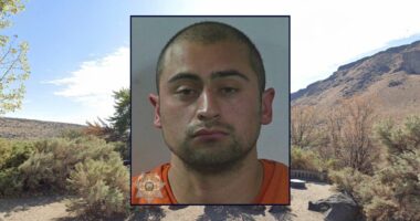 Dad on family trip to public park sent 5 kids 'away' from car so he could strangle pregnant mom in the back seat: Police