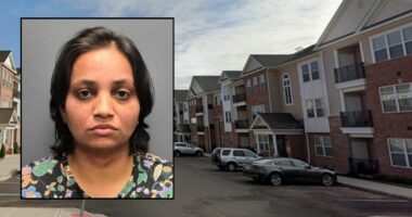 Dad who came home from work and found his 2 young sons dead said their mom 'did something' to them: Prosecutors