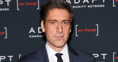 David Muir's Fragile Ego Has Been Put On Full Display More Than Once