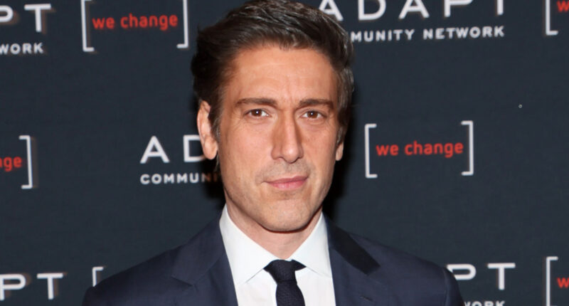 David Muir's Fragile Ego Has Been Put On Full Display More Than Once