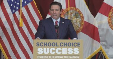 DeSantis opts Florida into federal education tax credit program to expand 'school choice'