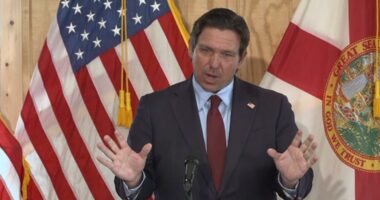 DeSantis unveils 'troubling' findings of baby formula testing