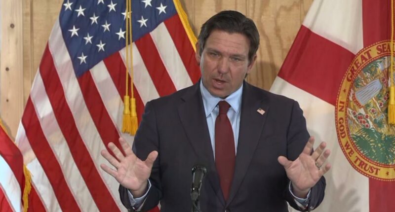 DeSantis unveils 'troubling' findings of baby formula testing
