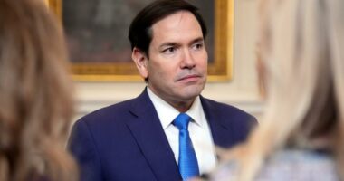 Denmark and Greenland seek talks with Rubio after the White House says again it wants the island
