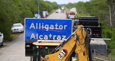 Detainees to testify about legal access at 'Alligator Alcatraz'