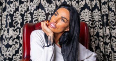 Diamond expert reveals eye-watering value of Katie Price’s engagement ring