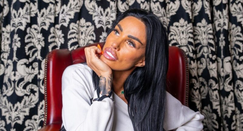 Diamond expert reveals eye-watering value of Katie Price’s engagement ring