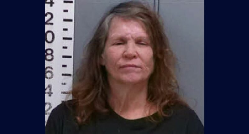 'Did you find any blood?': Woman stabbed boyfriend on New Year's Day and then made unprompted incriminating comments about the violence, police say