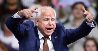 Disgraced Gov. Tim Walz to Drop out of Governor’s Race, per Reports