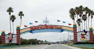 Disney World worker is injured trying to stop runaway boulder at Indiana Jones show