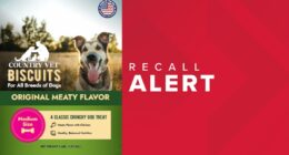 Dog biscuits sold in 7 states recalled, humans may be at risk of salmonella poisoning