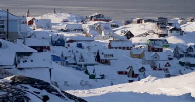 Donald Trump, Greenland news: How US could take over region that's part of NATO ally Denmark and potential challenges