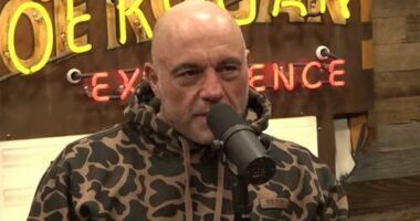 Joe Rogan has been highly critical of the tactics used by ICE.