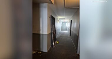 Downers Grove police investigating death of pregnant woman after apartment fire on Ogden Avenue as homicide