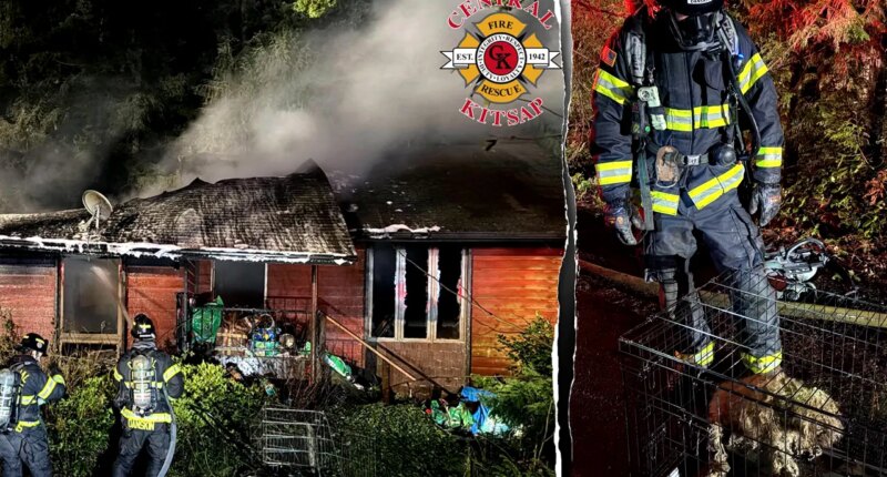 Dozens of dogs killed in fire at home of ‘breeder’ in Washington state, firefighters rescue 3 from flames